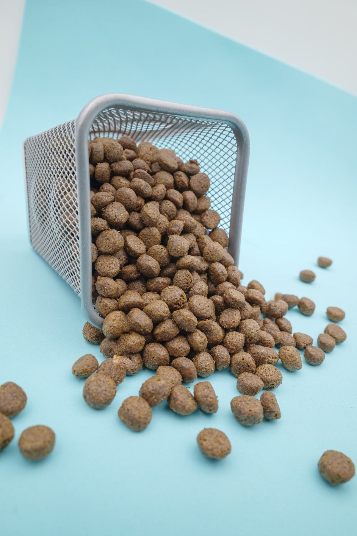 Brado Carni Bianche – Croccantini Grain Free per Cani - foto 1