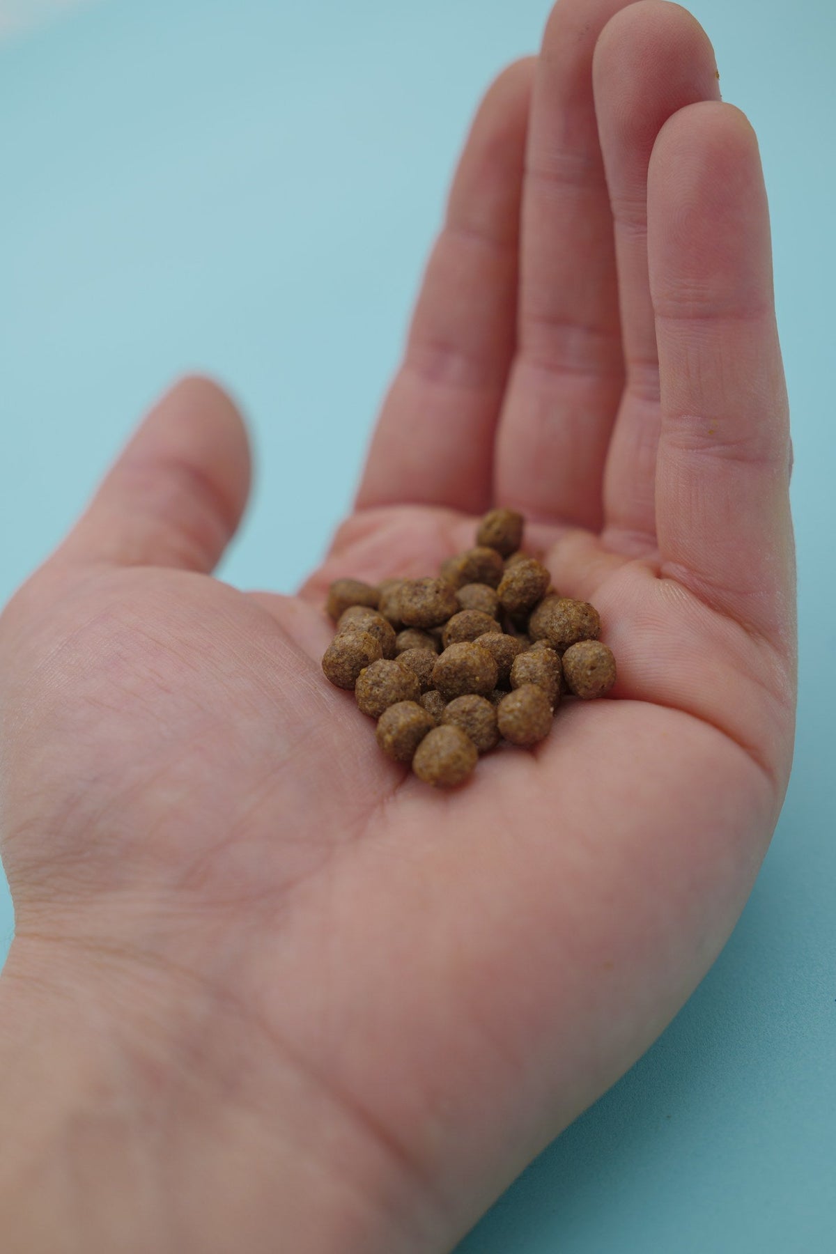 Boreale – Croccantini per Cani con Cereali Integrali - foto 7