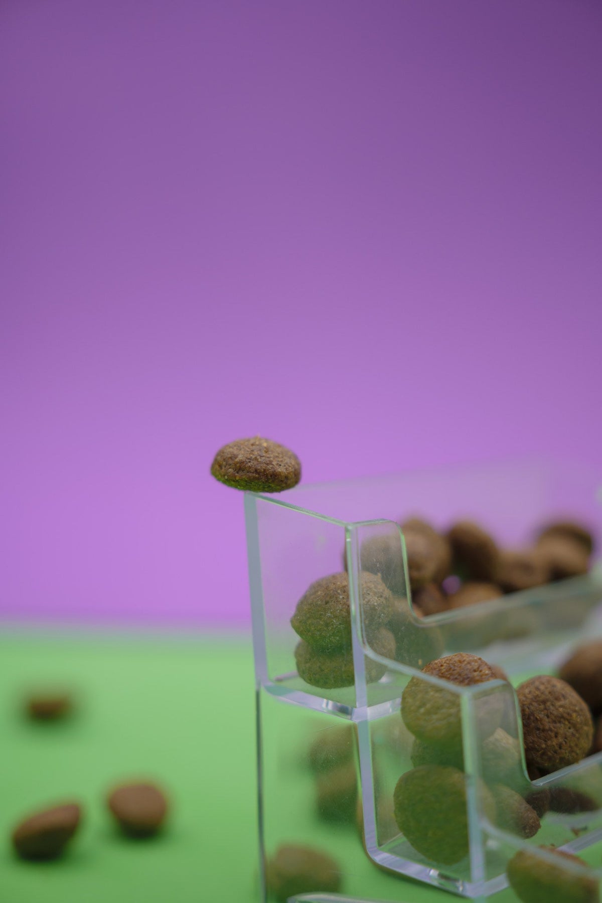 Regime Ipocalorico – Croccantini per Cani - foto 8