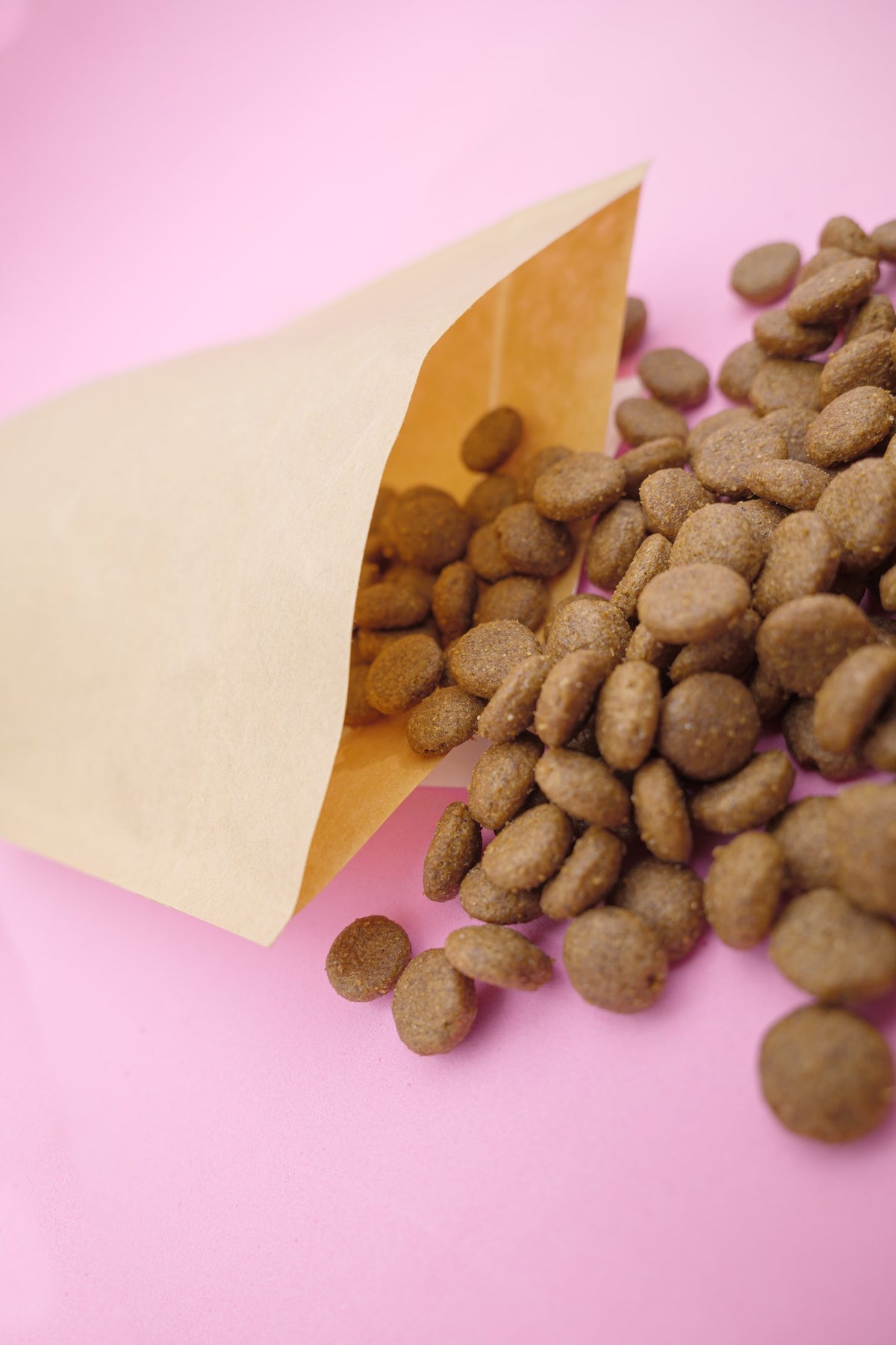 Australe – Croccantini per Cani con Cereali Integrali - foto 1