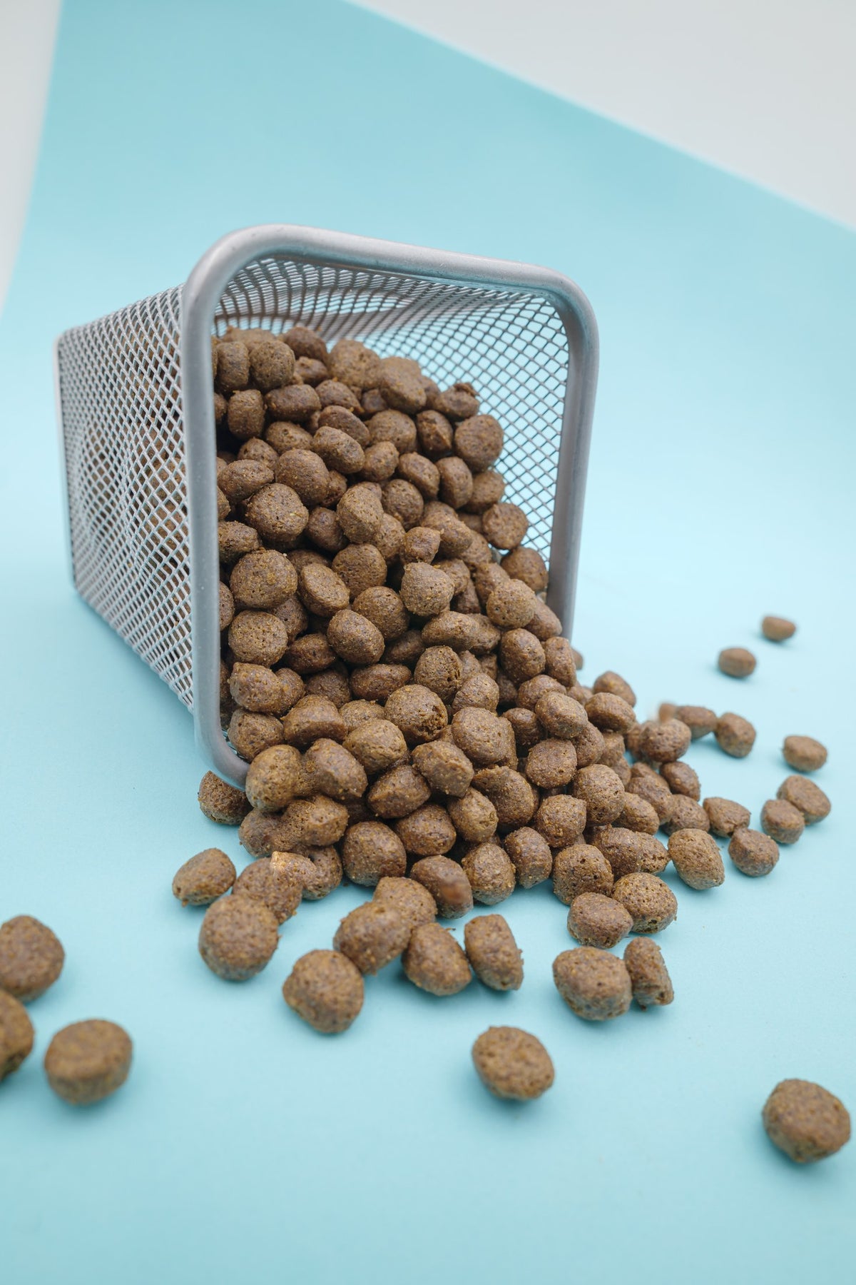 Brado Carni Bianche – Croccantini Grain Free per Cani - foto 1