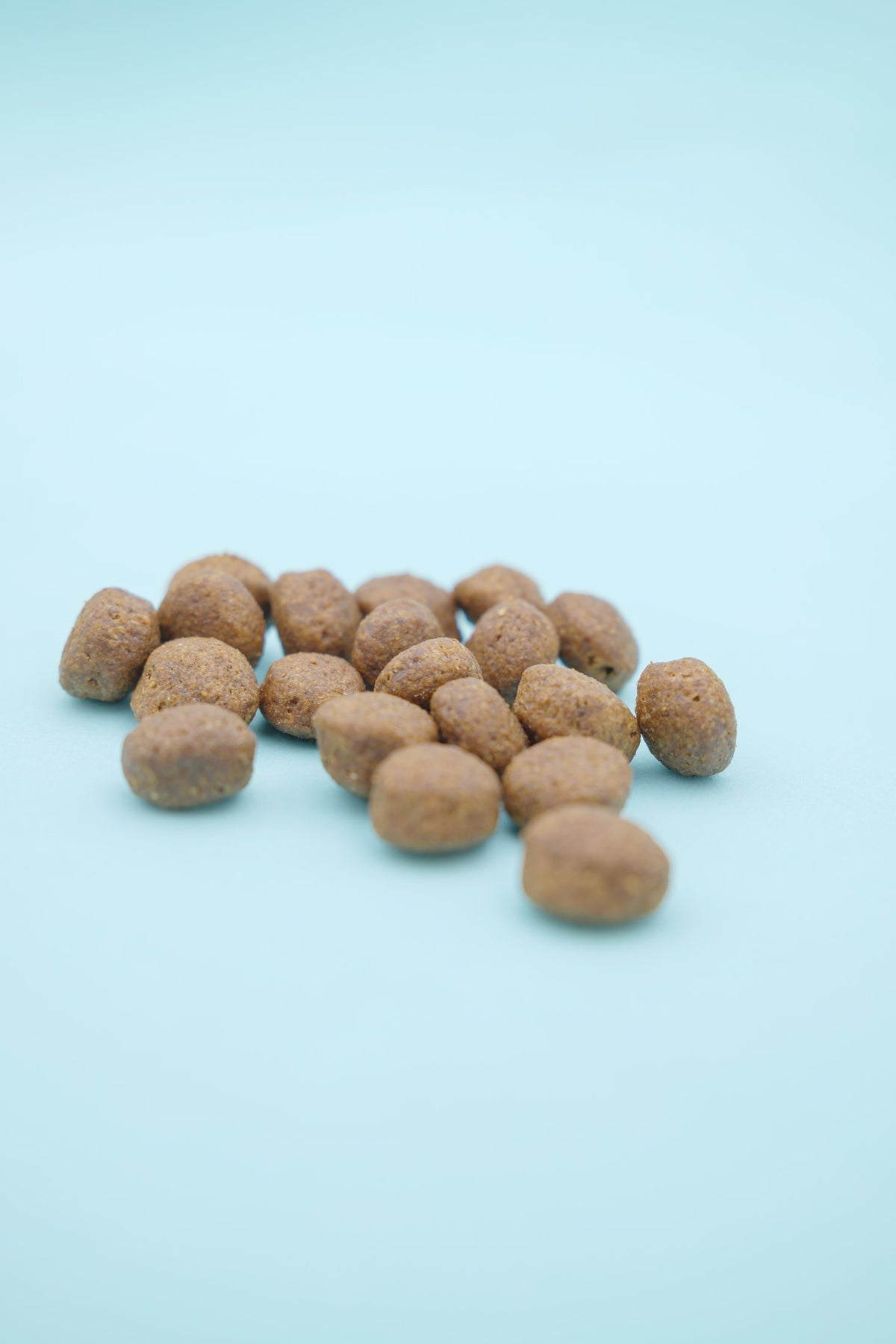 Brado Maiale – Croccantini Grain Free per Cani - foto 1