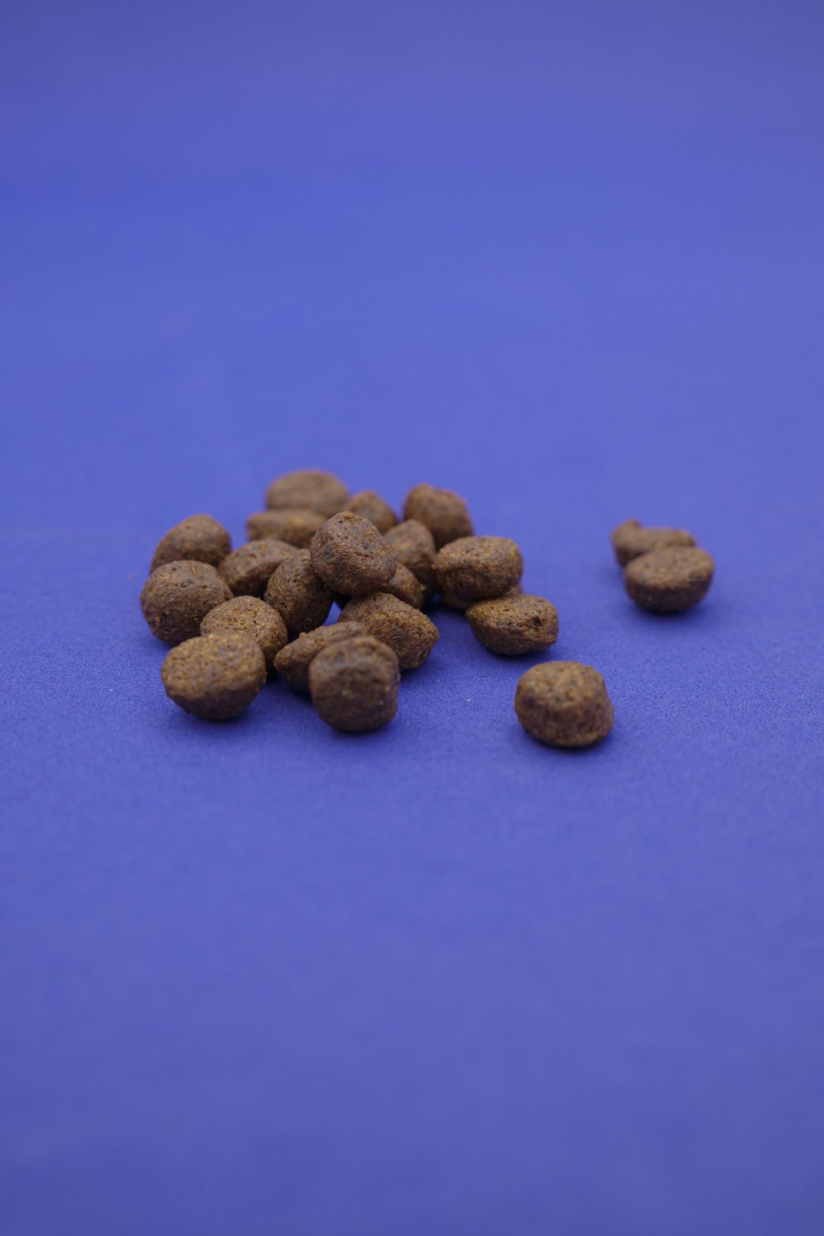 Norvegese – Croccantini Grain Free per Cani - foto 1