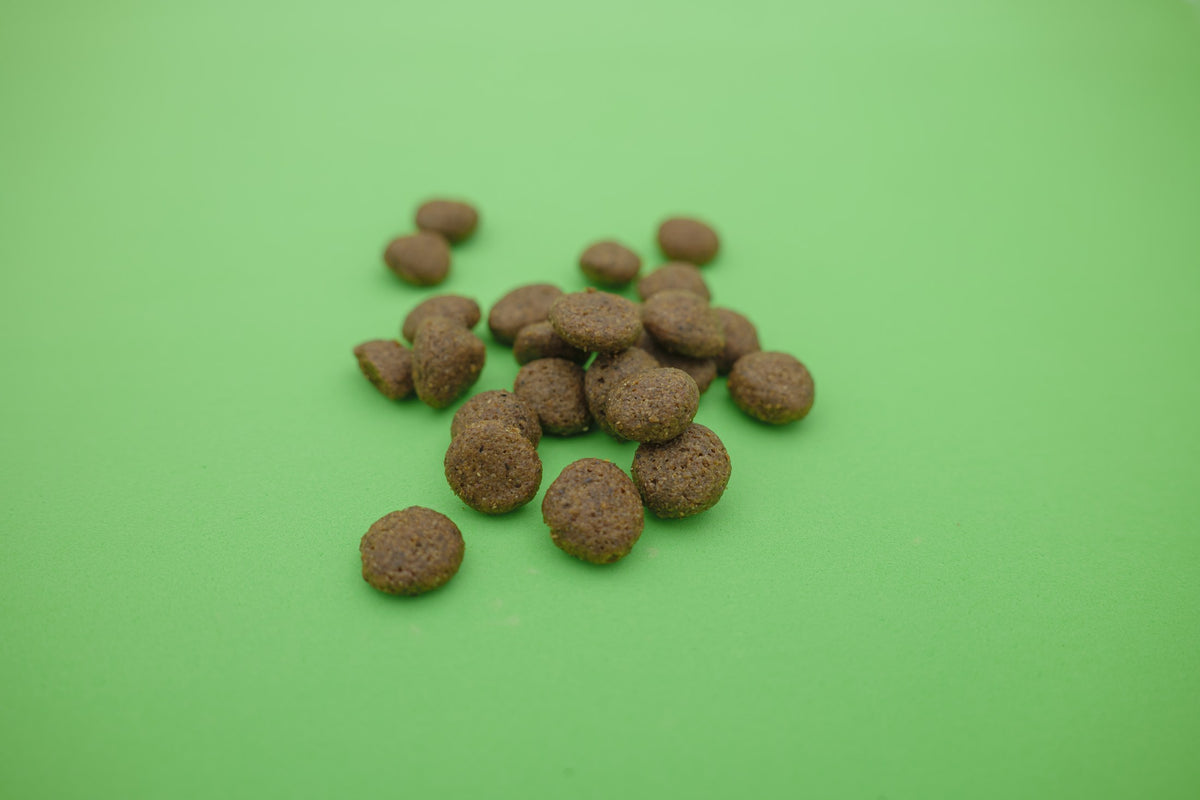 Regime Ipoallergenico – Croccantini per Cani - foto 1