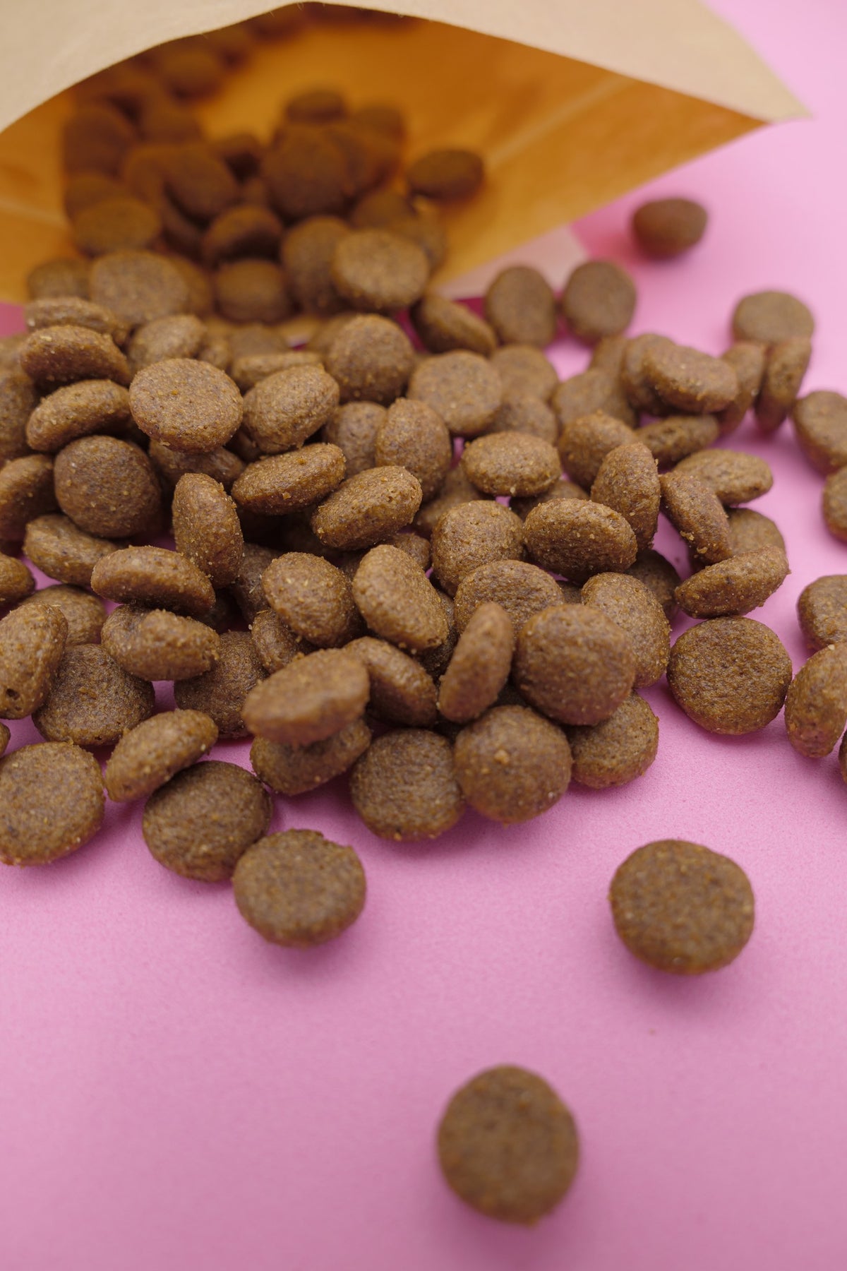 Australe – Croccantini per Cani con Cereali Integrali - foto 2