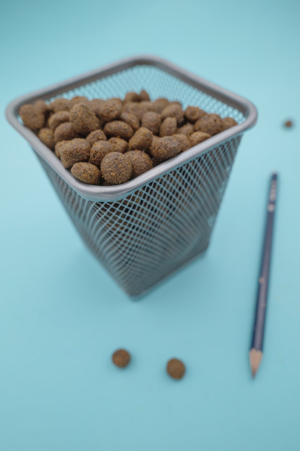 Brado Carni Bianche – Croccantini Grain Free per Cani - foto 2
