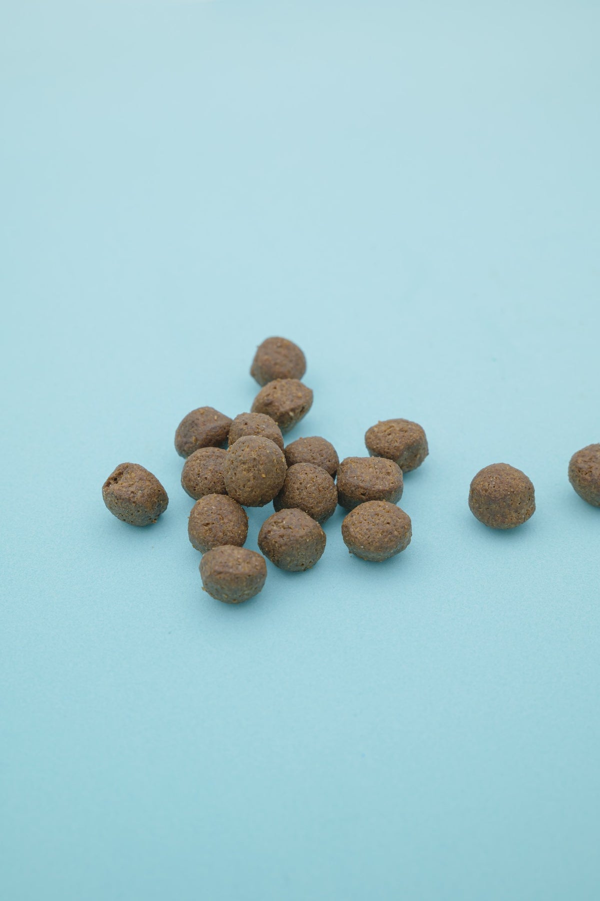 Brado Pesce Bianco – Croccantini Grain Free per Cani - foto 2