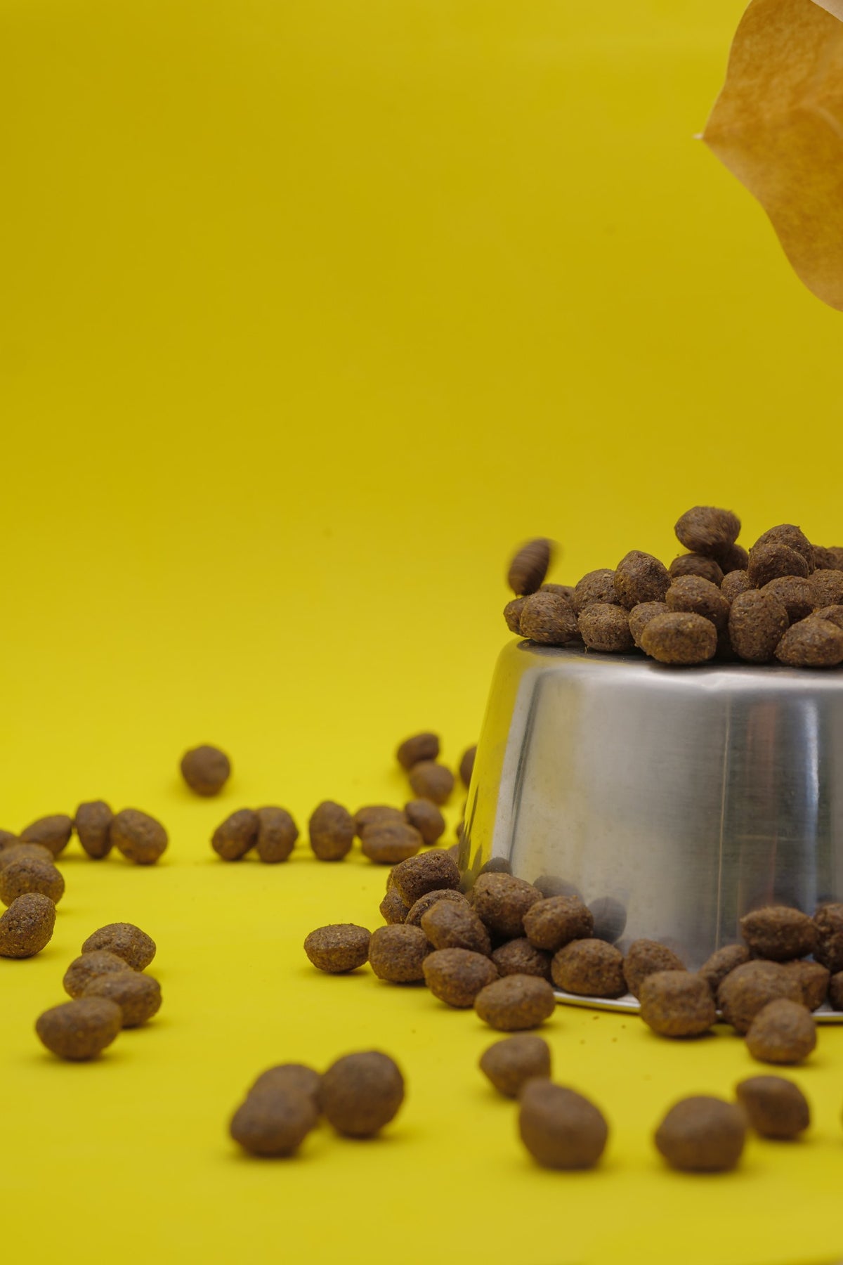 Unico al Pesce – Croccantini per Cani - foto 2