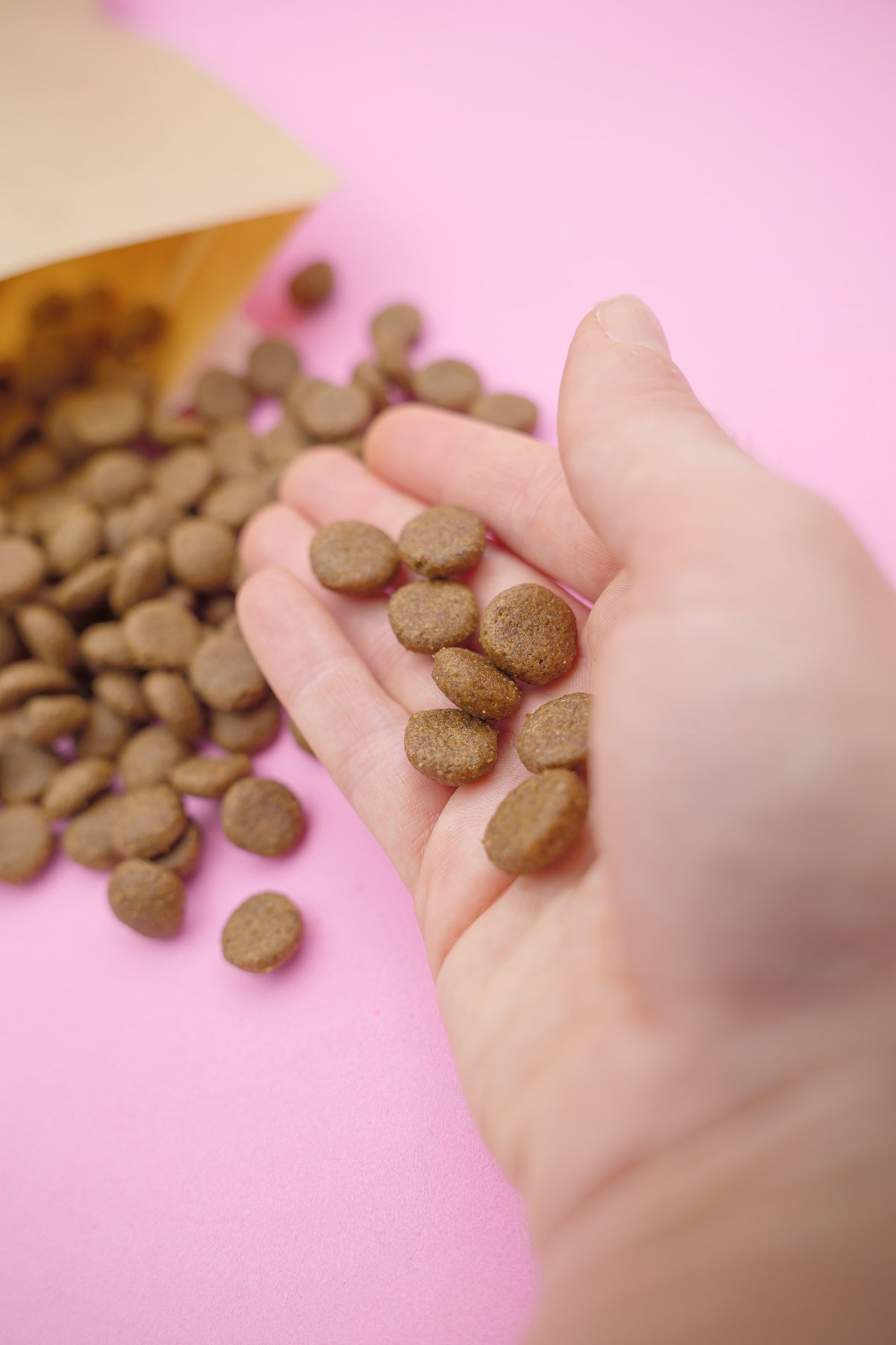 Australe – Croccantini per Cani con Cereali Integrali - foto 3