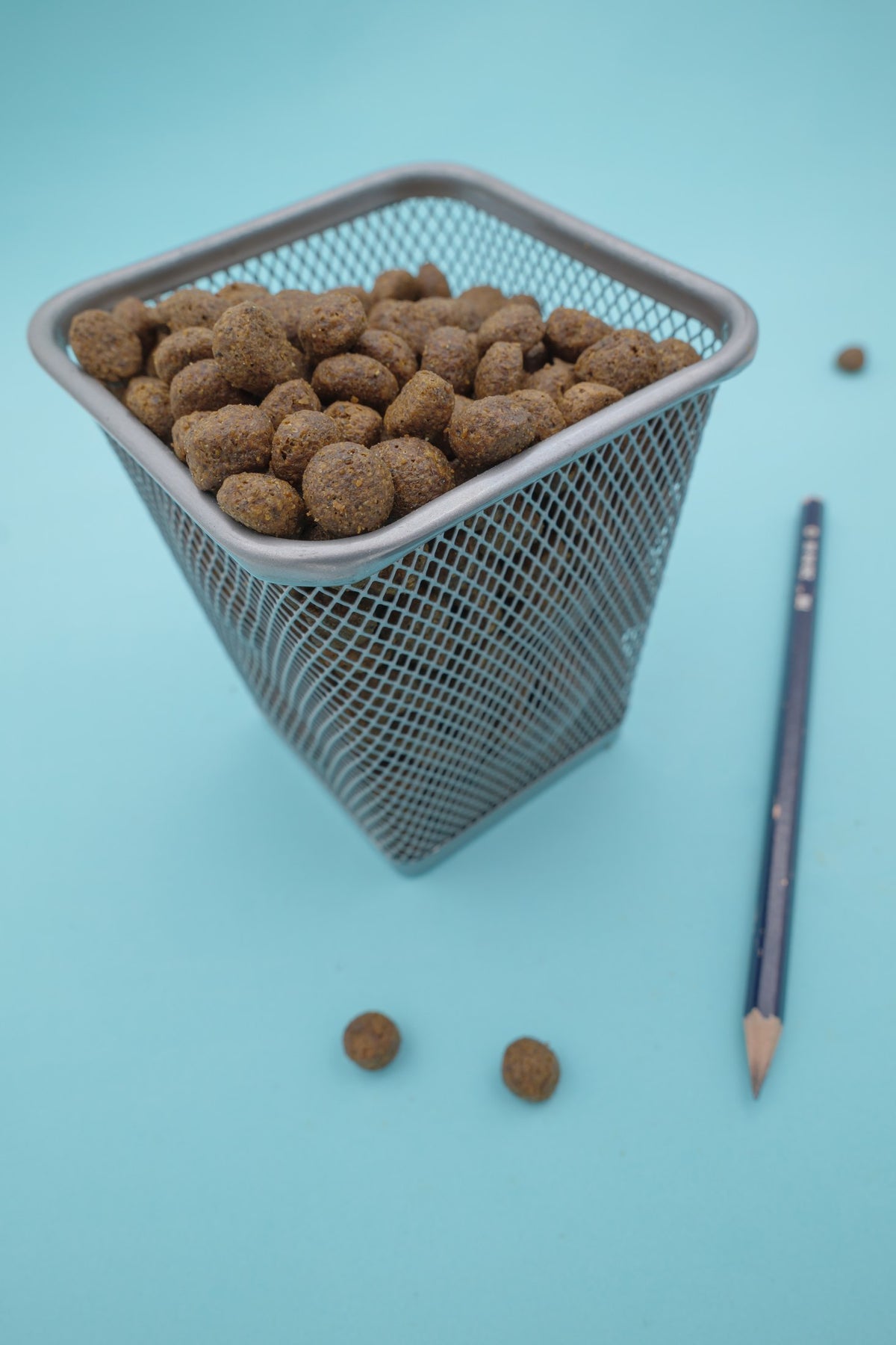 Brado Carni Bianche – Croccantini Grain Free per Cani - foto 3