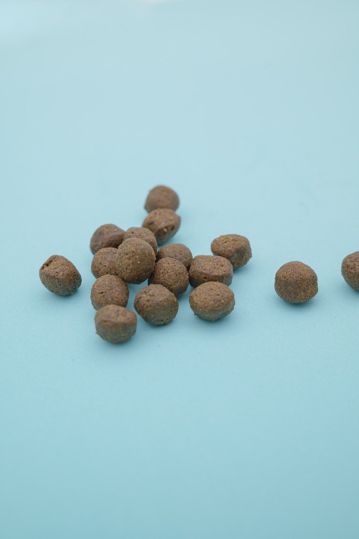 Brado Pesce Bianco – Croccantini Grain Free per Cani - foto 3