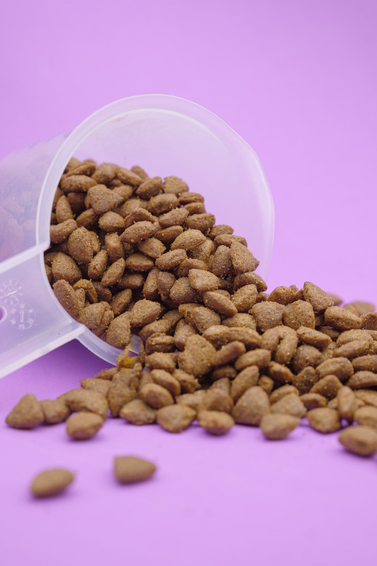 Felino Pesce Bianco – Croccantini Grain Free per Gatti - foto 3