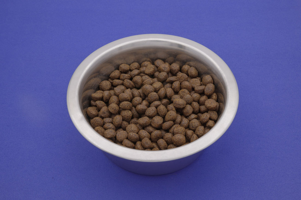 Norvegese – Croccantini Grain Free per Cani - foto 3