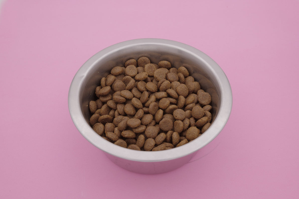 Australe – Croccantini per Cani con Cereali Integrali - foto 4