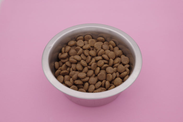 Australe – Croccantini per Cani con Cereali Integrali