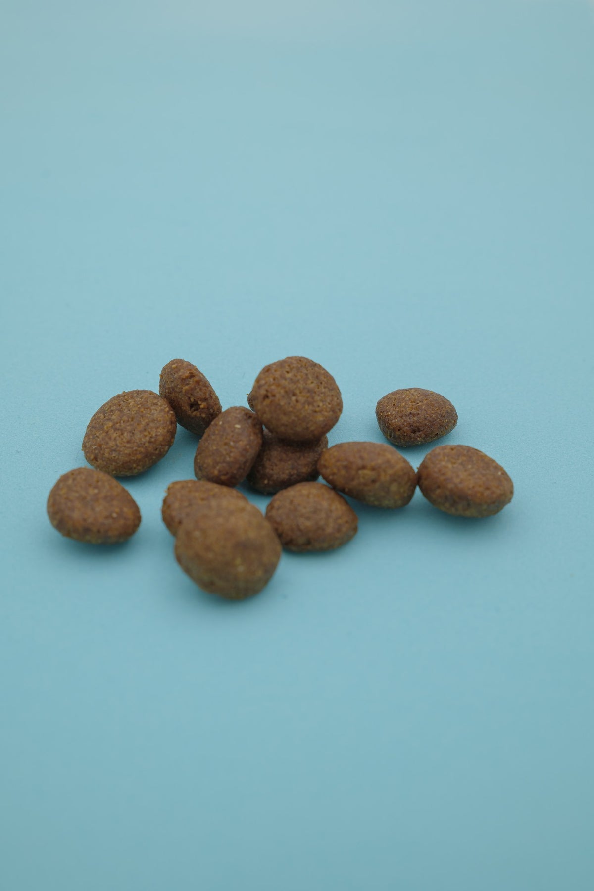 Boreale – Croccantini per Cani con Cereali Integrali - foto 4