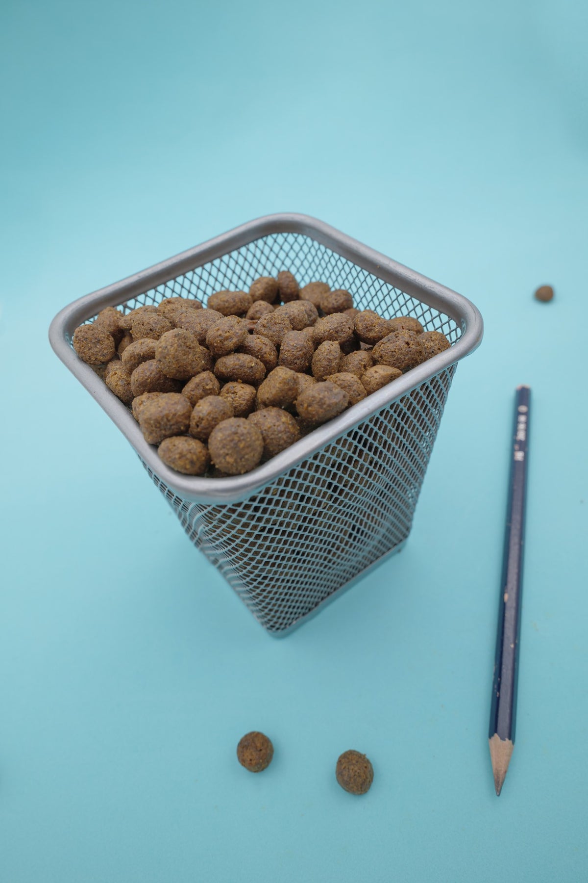 Brado Carni Bianche – Croccantini Grain Free per Cani - foto 4