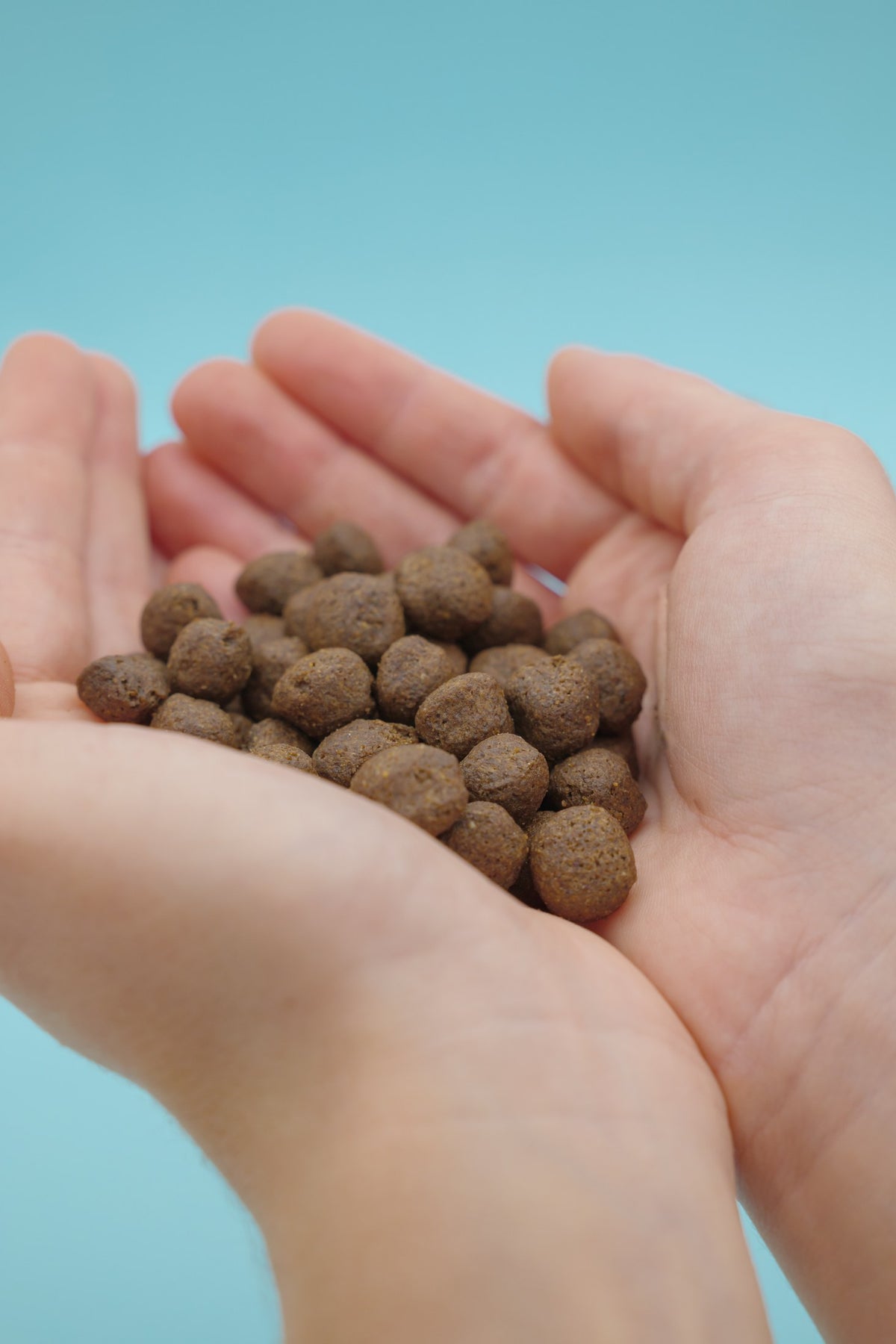 Brado Pesce Bianco – Croccantini Grain Free per Cani - foto 4