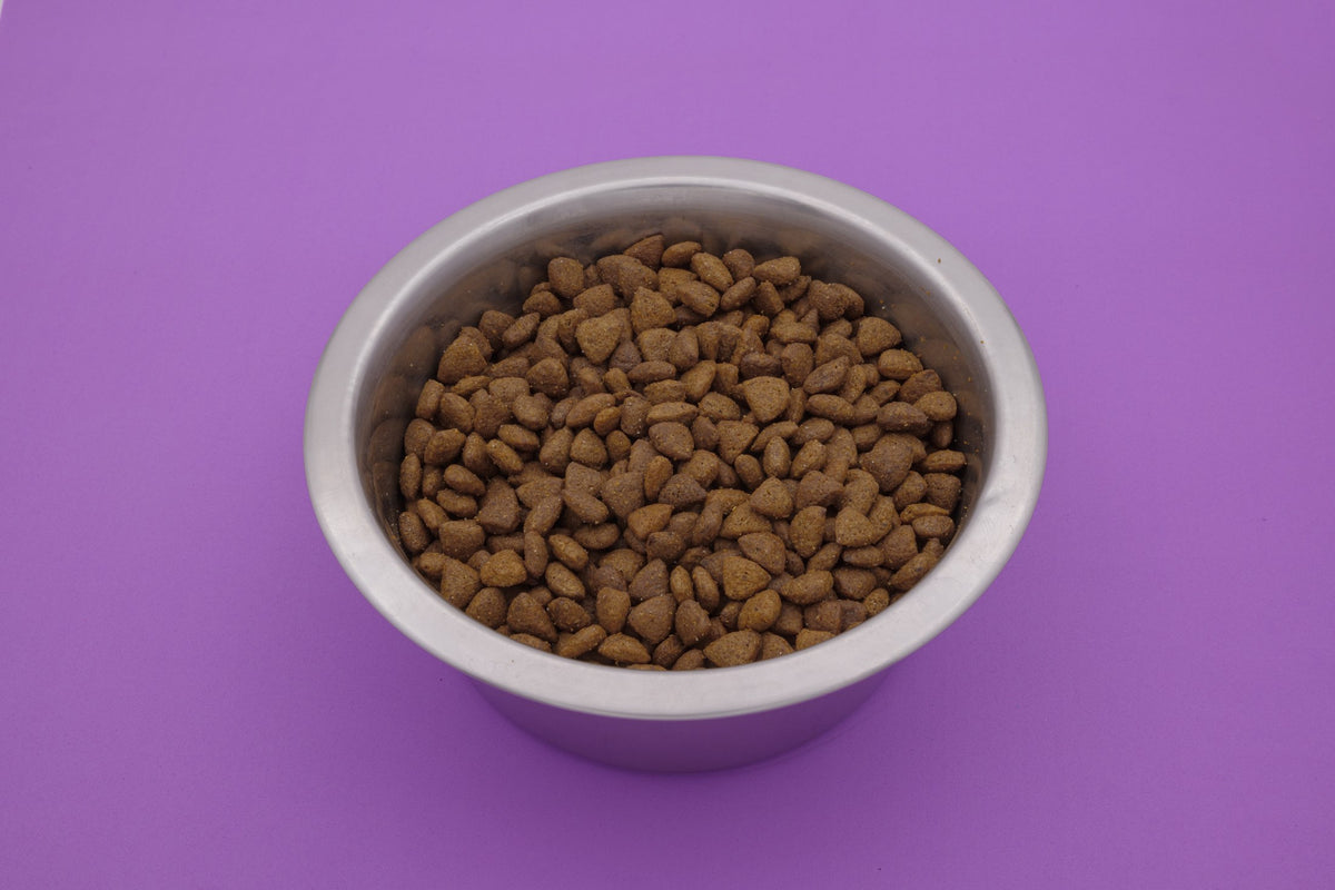 Felino Carni Bianche – Croccantini Grain Free per Gatti - foto 4