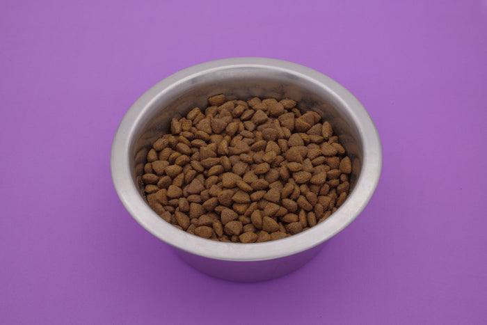 Felino Pesce Bianco – Croccantini Grain Free per Gatti - foto 4