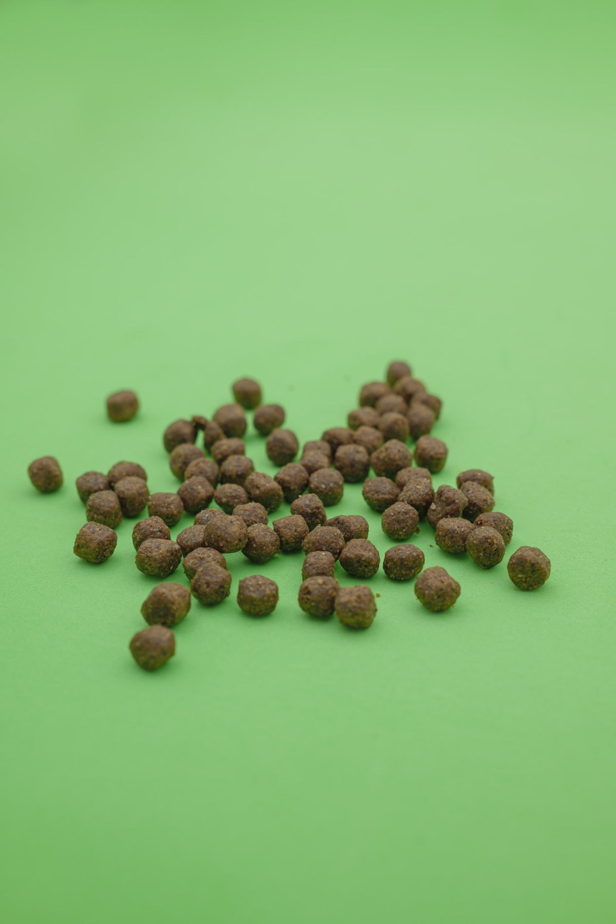 Regime Ipoallergenico – Croccantini per Cani - foto 4