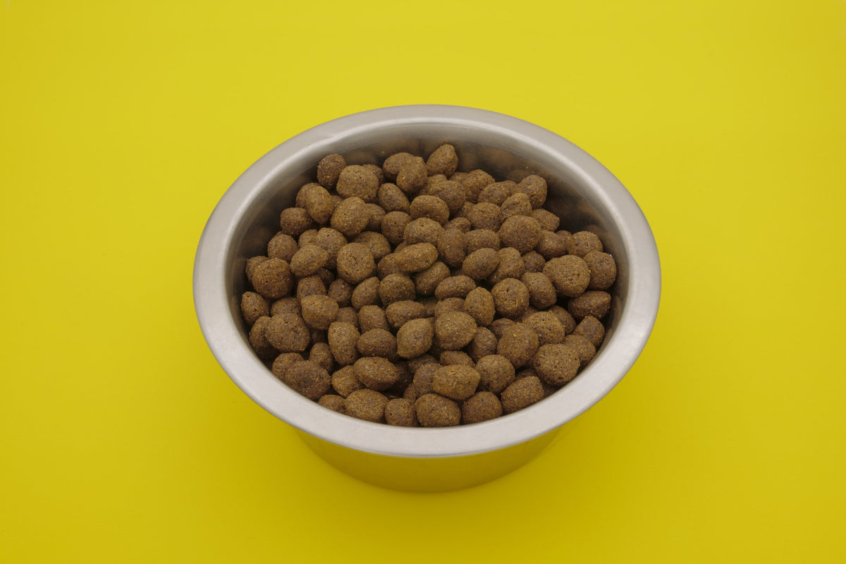 Unico al Pesce – Croccantini per Cani - foto 4