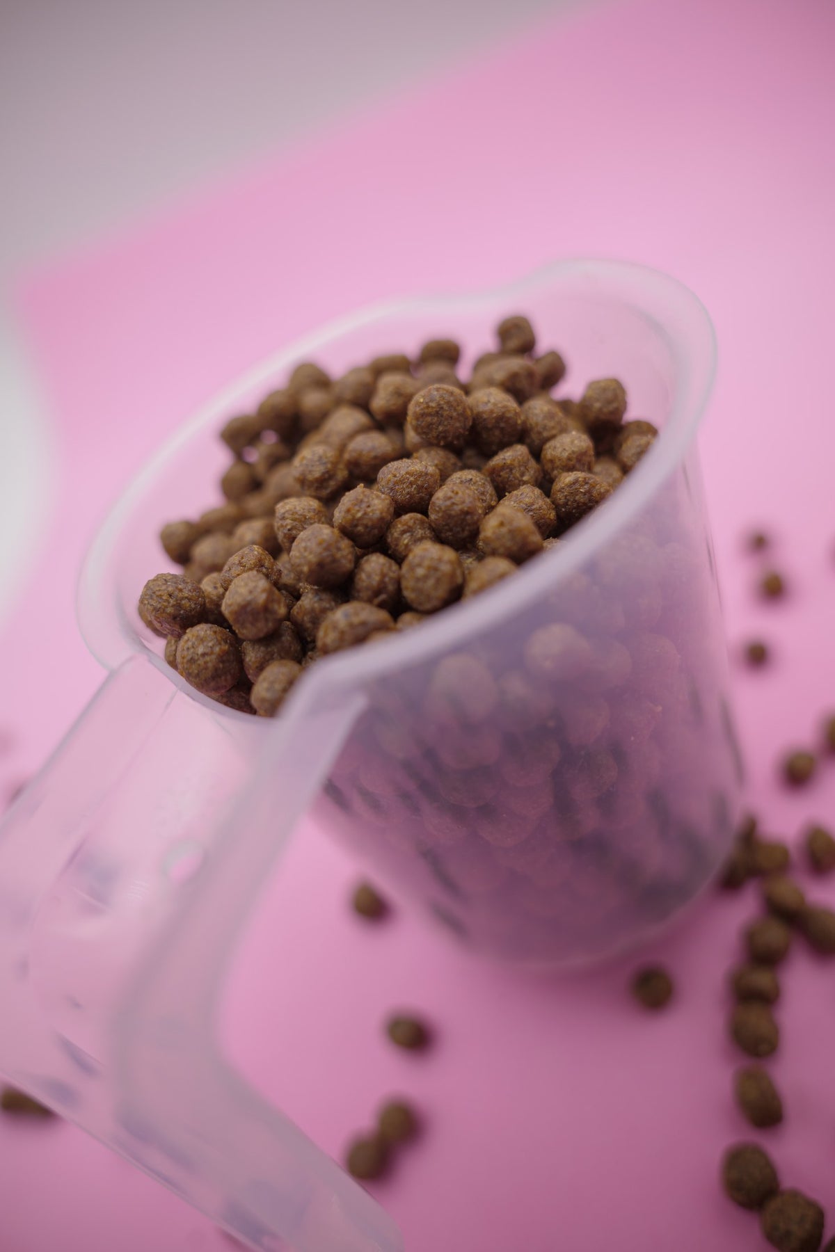 Australe – Croccantini per Cani con Cereali Integrali - foto 5