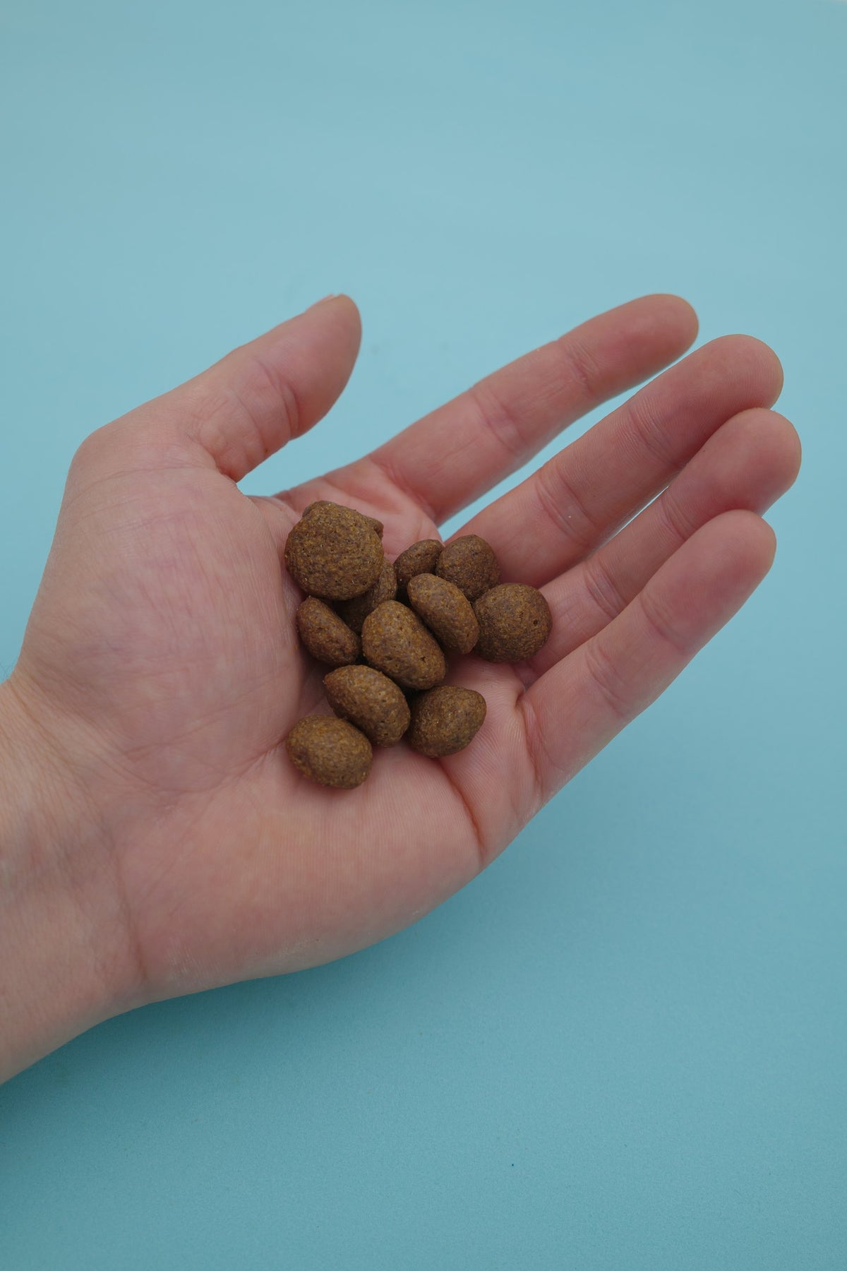 Boreale – Croccantini per Cani con Cereali Integrali - foto 5