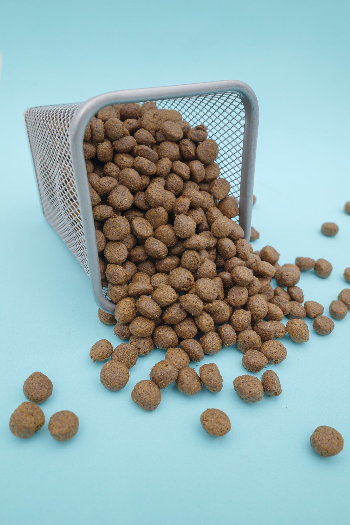 Brado Carni Bianche – Croccantini Grain Free per Cani - foto 5