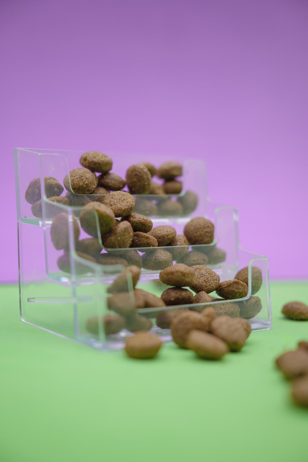 Regime Ipocalorico – Croccantini per Cani - foto 5
