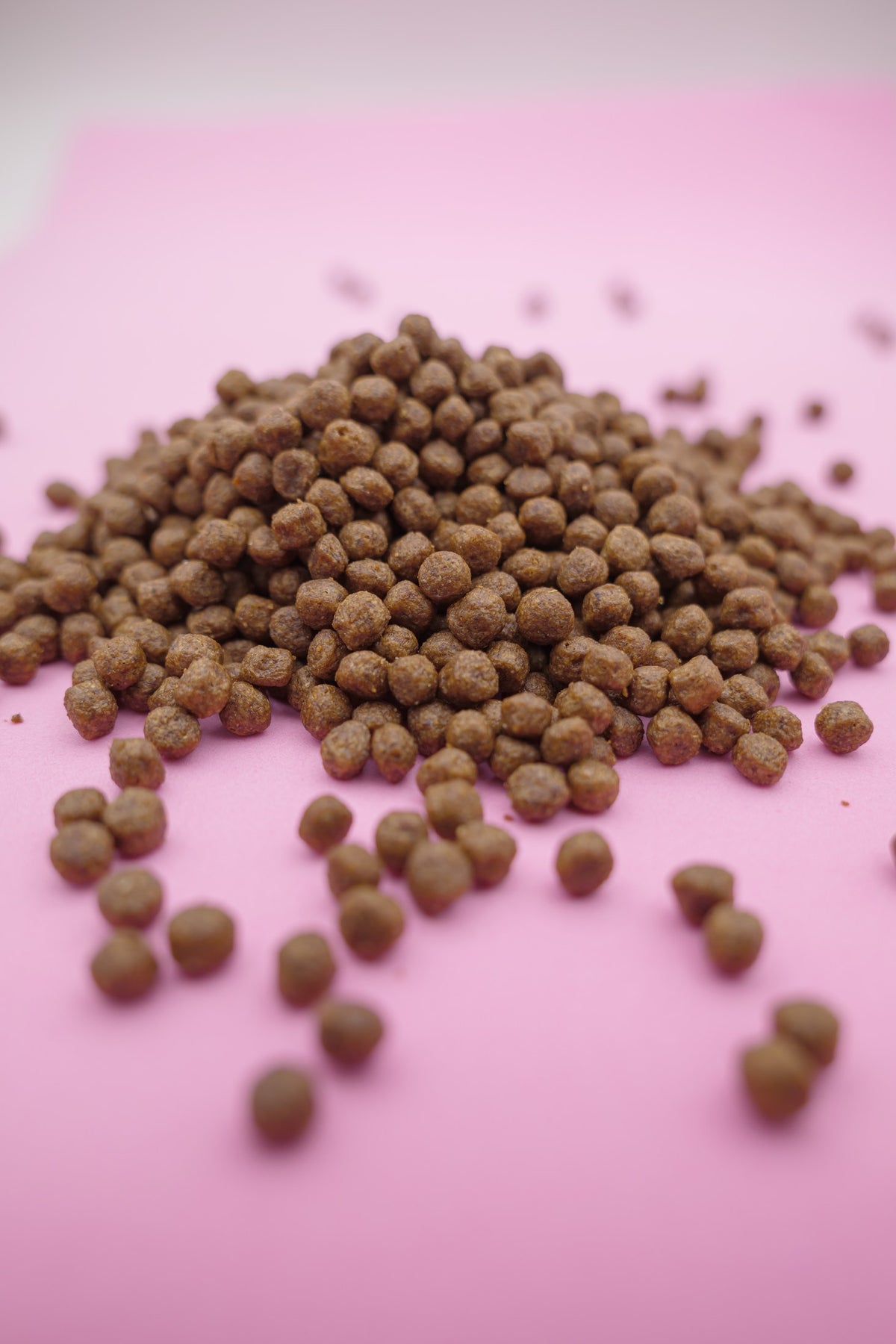 Australe – Croccantini per Cani con Cereali Integrali - foto 6