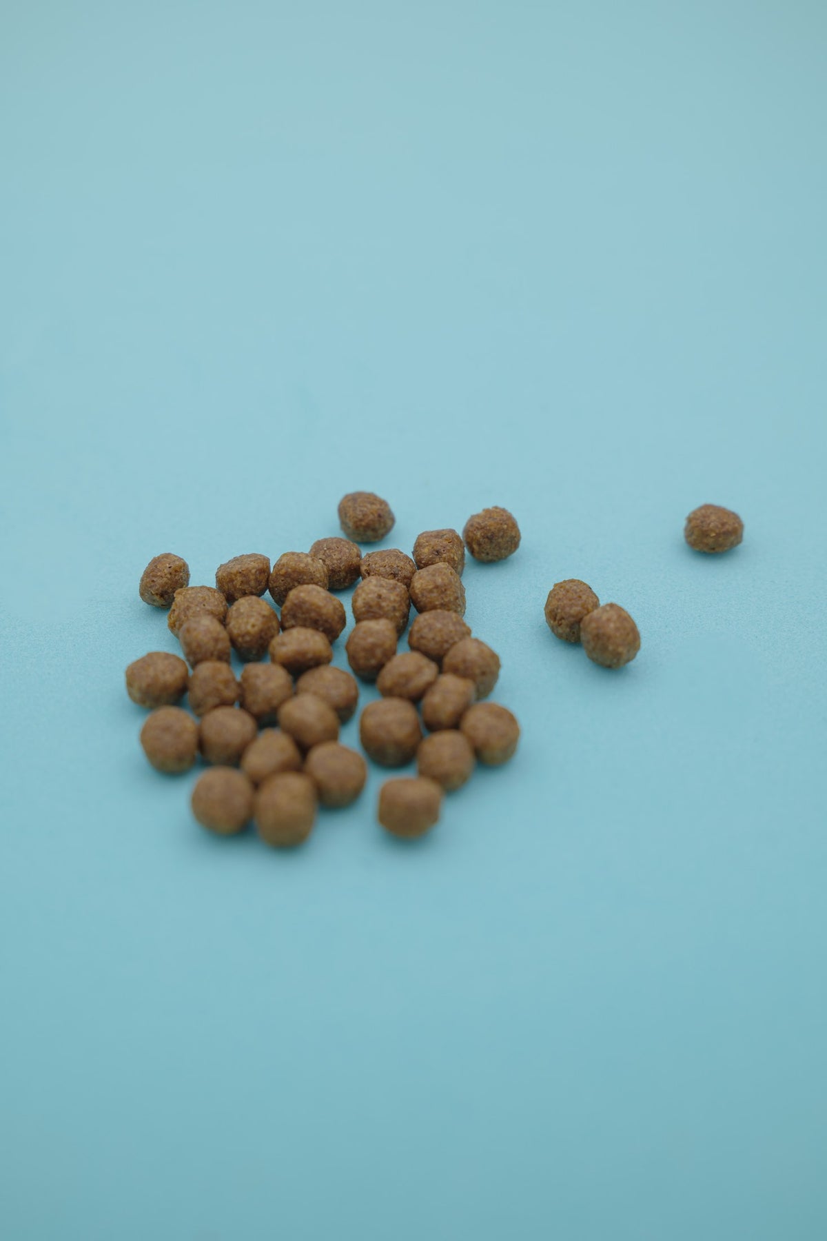 Boreale – Croccantini per Cani con Cereali Integrali - foto 6