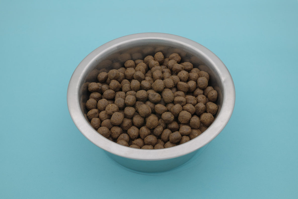 Brado Pesce Bianco – Croccantini Grain Free per Cani - foto 6