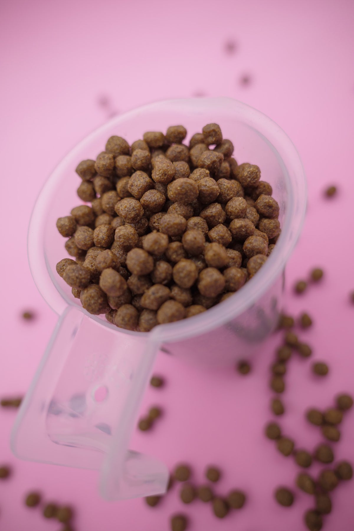 Australe – Croccantini per Cani con Cereali Integrali - foto 7