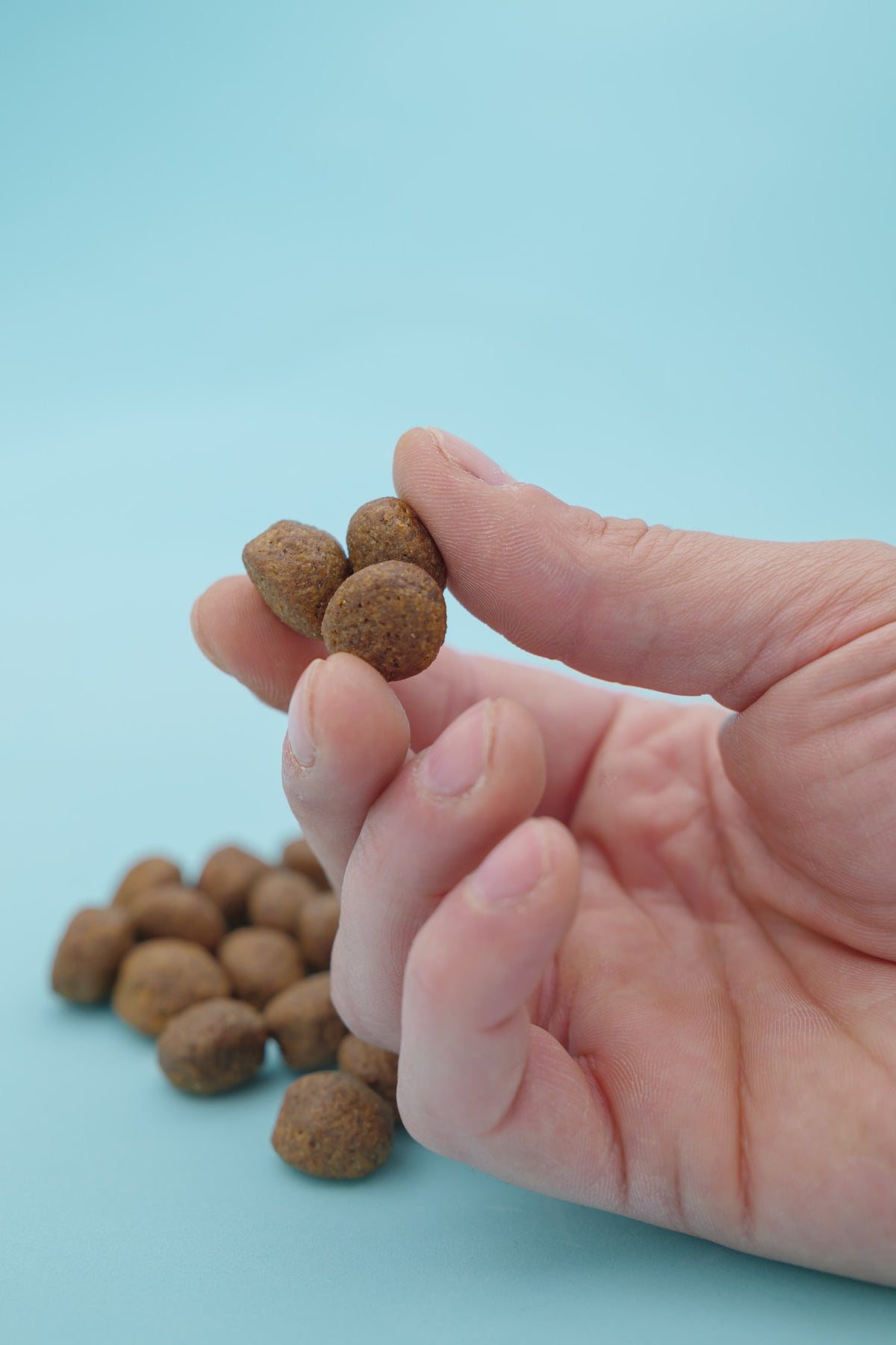 Brado Maiale – Croccantini Grain Free per Cani - foto 7