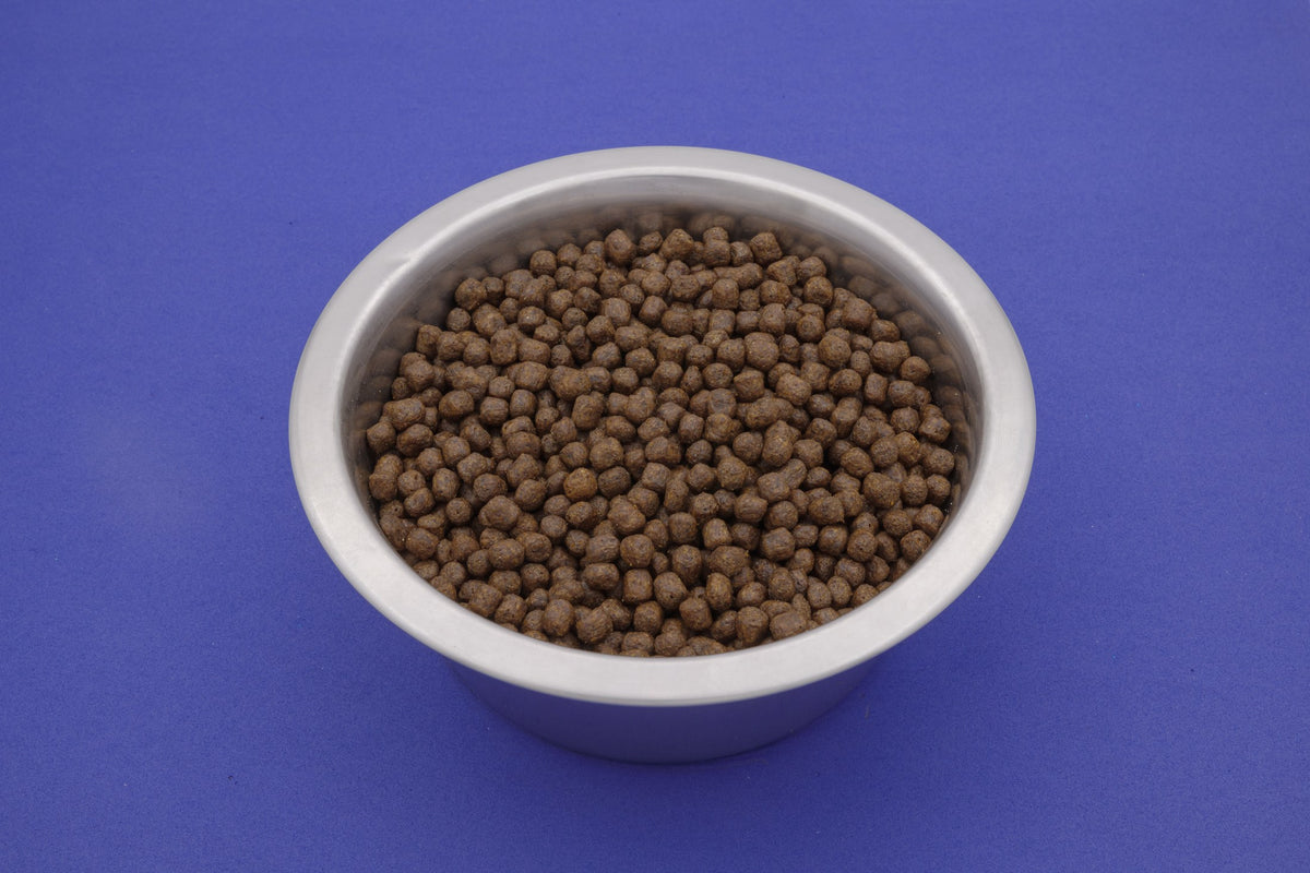 Norvegese – Croccantini Grain Free per Cani - foto 7