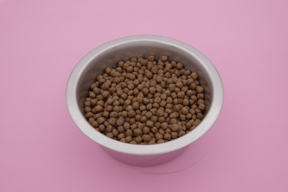 Australe – Croccantini per Cani con Cereali Integrali - foto 8