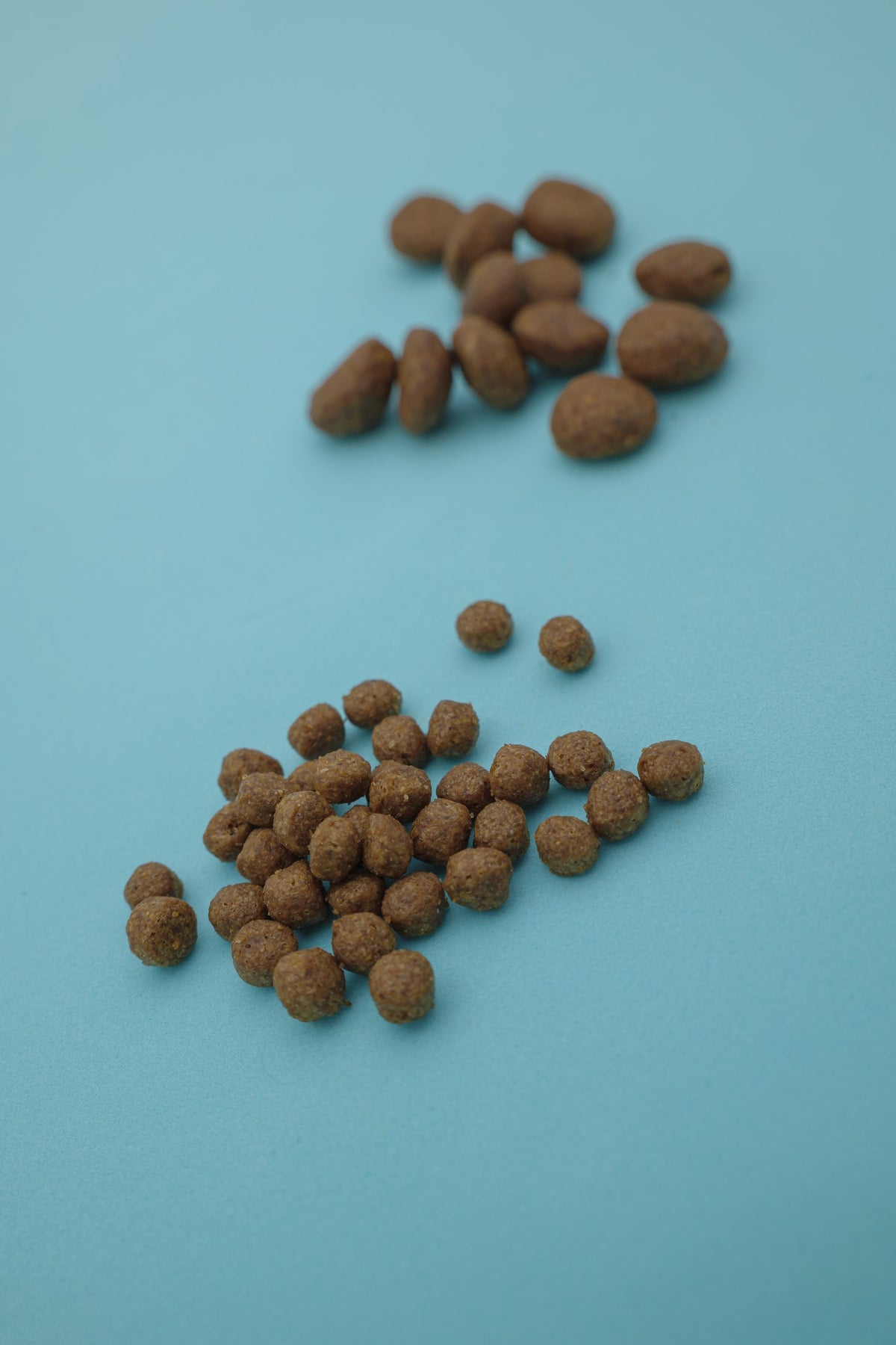 Boreale – Croccantini per Cani con Cereali Integrali - foto 8