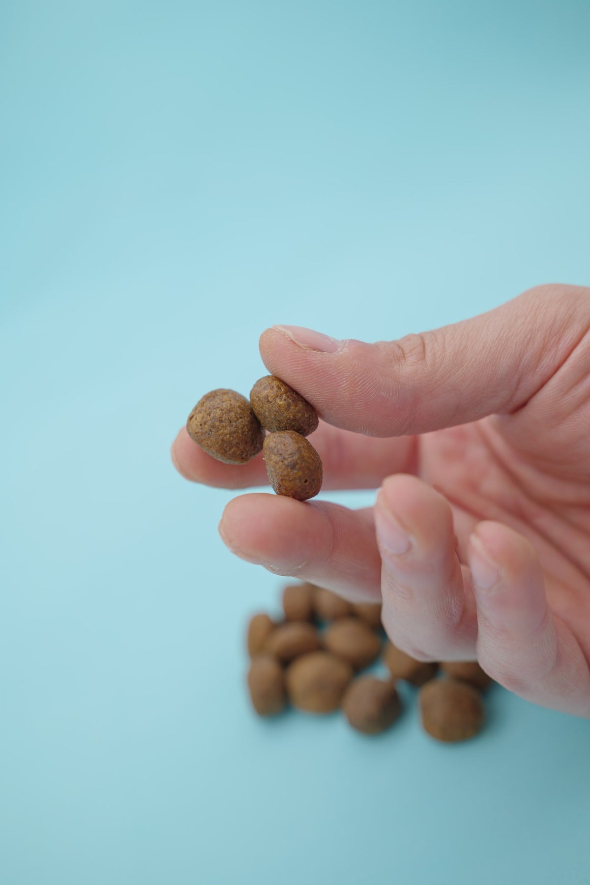 Brado Maiale – Croccantini Grain Free per Cani - foto 8