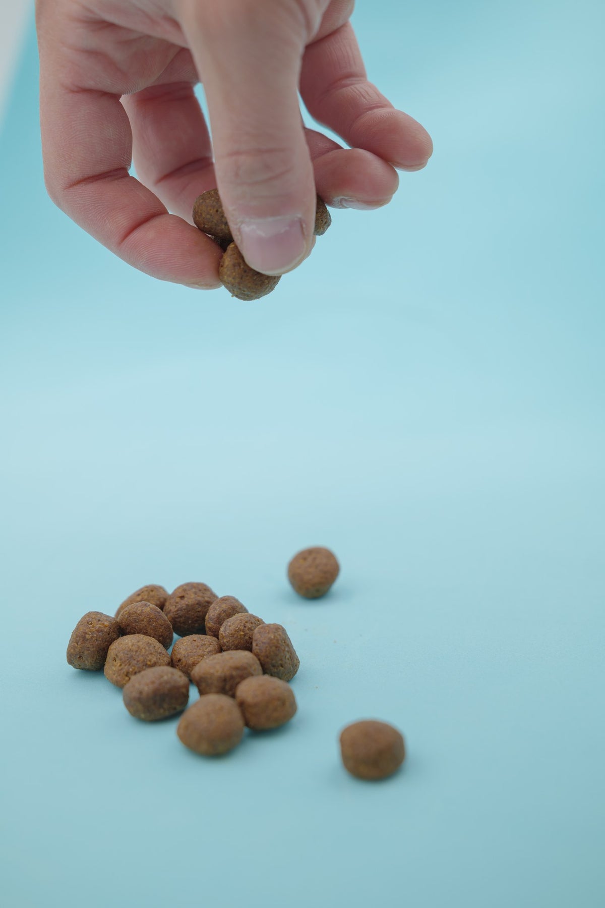 Brado Maiale – Croccantini Grain Free per Cani - foto 9