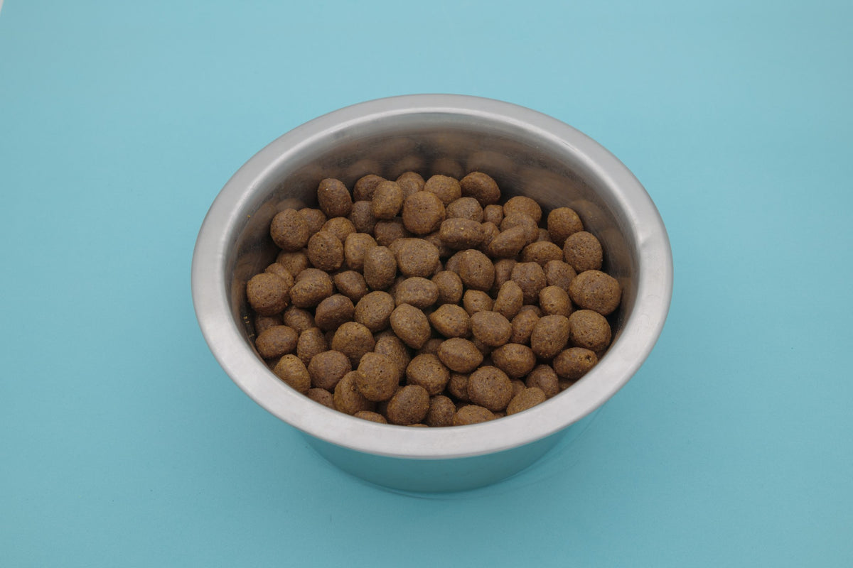 Brado Maiale – Croccantini Grain Free per Cani - foto 10