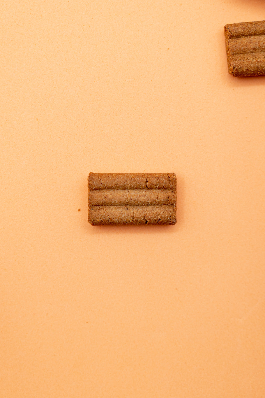 Bauscotti – Biscotti Croccanti per Cani