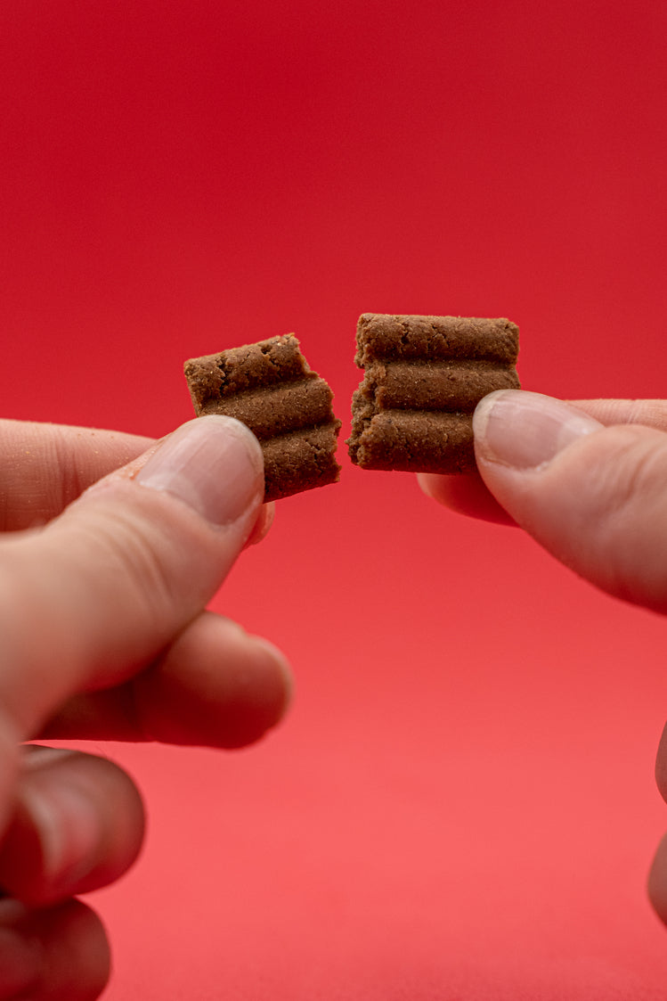 Bauscotti – Biscotti Croccanti per Cani