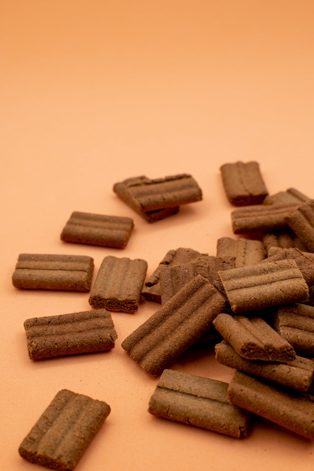 Bauscotti – Biscotti Croccanti per Cani