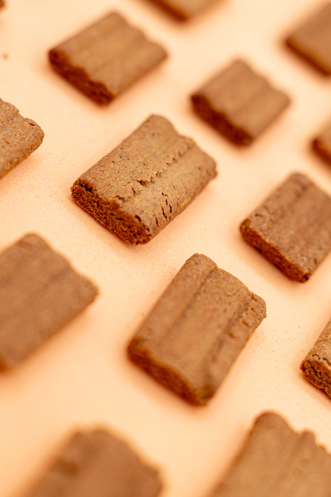 Bauscotti – Biscotti Croccanti per Cani